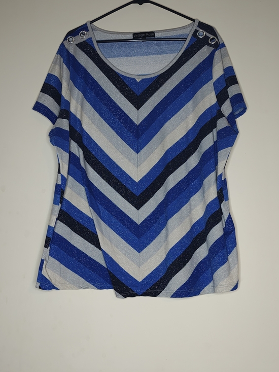 Vintage Rose Tops - Blue Striped Scoop Neck Women's Top 3X